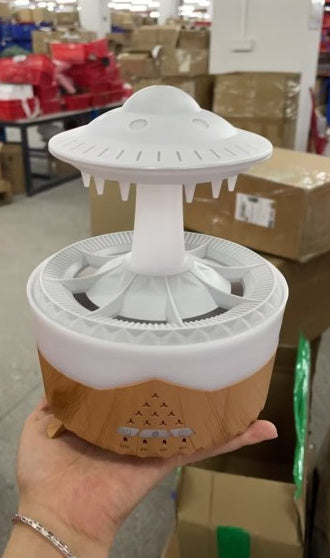 Raindrop Humidifier